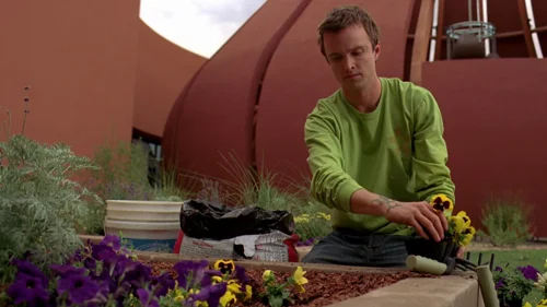 Still frame 24 from Breaking Bad Season 3 Episode 1