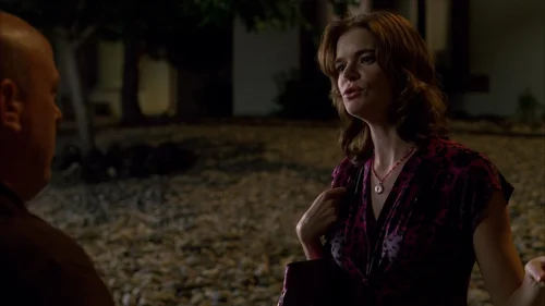 Still frame 33 from Breaking Bad Season 3 Episode 2
