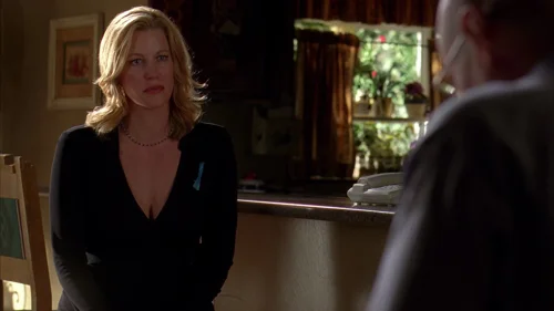 Still frame 68 from Breaking Bad Season 3 Episode 3