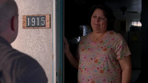 Still frame 76 from Breaking Bad Season 3 Episode 5