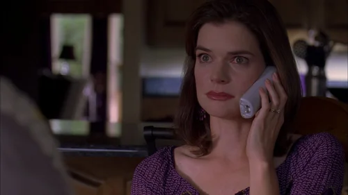 Still frame 30 from Breaking Bad Season 3 Episode 5
