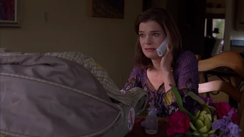 Still frame 31 from Breaking Bad Season 3 Episode 5
