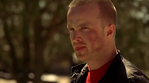 Still frame 57 from Breaking Bad Season 4 Episode 10