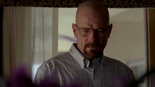 Still frame 7 from Breaking Bad Season 4 Episode 9