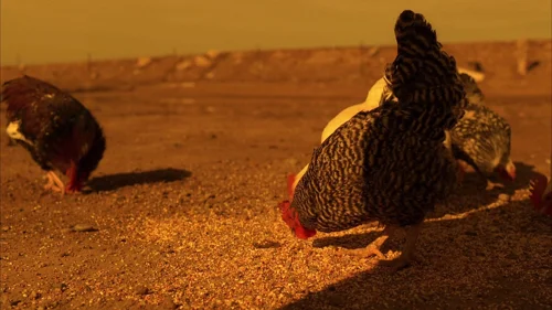 Still frame 24 from Breaking Bad Season 5 Episode 1