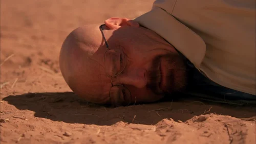 Still frame 29 from Breaking Bad Season 5 Episode 14