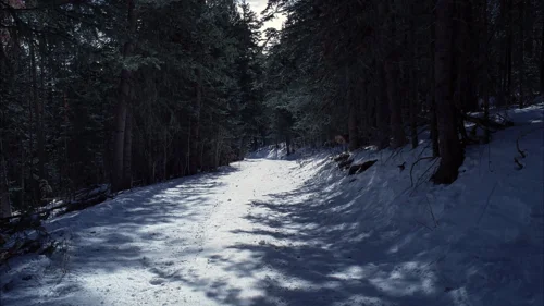 Still frame 52 from Breaking Bad Season 5 Episode 15