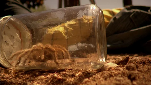 Still frame 98 from Breaking Bad Season 5 Episode 5