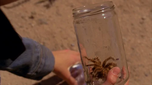Still frame 3 from Breaking Bad Season 5 Episode 5