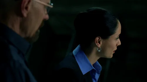 Still frame 40 from Breaking Bad Season 5 Episode 5