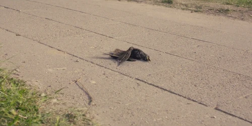 Still frame 132 from Chornobyl Season 1 Episode 1