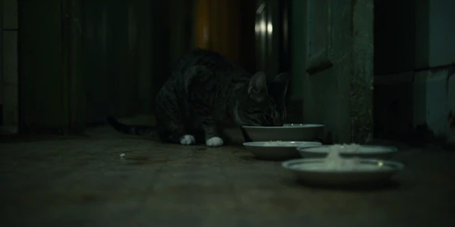 Still frame 15 from Chornobyl Season 1 Episode 1
