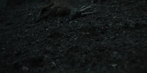 Still frame 77 from Chornobyl Season 1 Episode 2