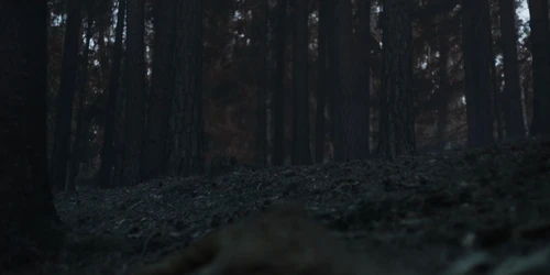 Still frame 78 from Chornobyl Season 1 Episode 2