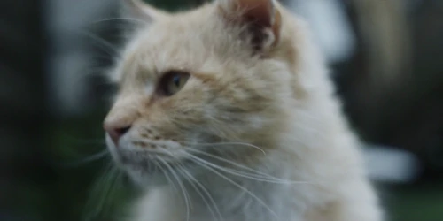Still frame 107 from Chornobyl Season 1 Episode 4