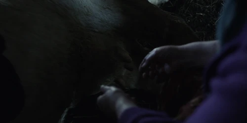Still frame 8 from Chornobyl Season 1 Episode 4