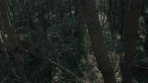 Still frame 32 from Dept. Q Season 1 Episode 3