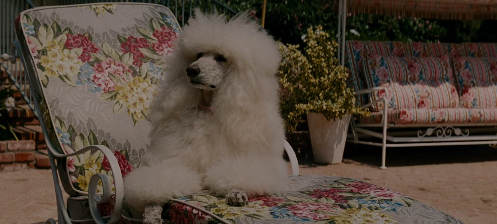 Still frame 60 from Euphoria Season 3 Episode 1