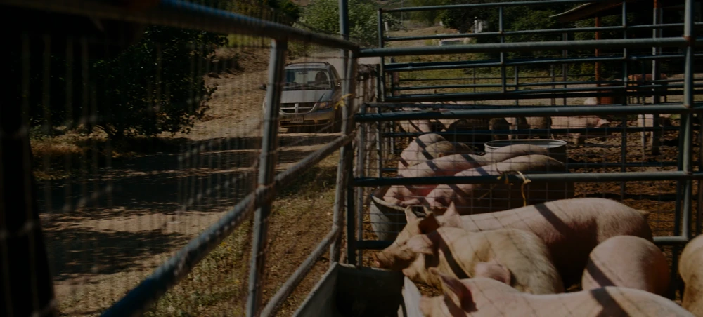 Still frame 56 from Euphoria Season 3 Episode 5