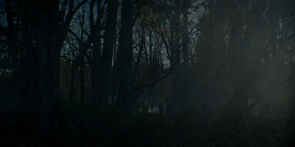 Still frame 4 from Shogun Season 1 Episode 8