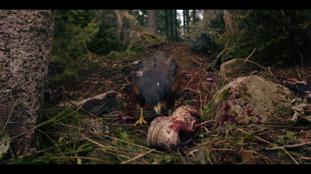 Still frame 49 from Untamed Season 1 Episode 1
