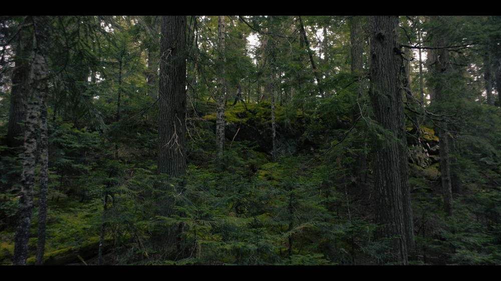Still frame 4 from Untamed Season 1 Episode 2