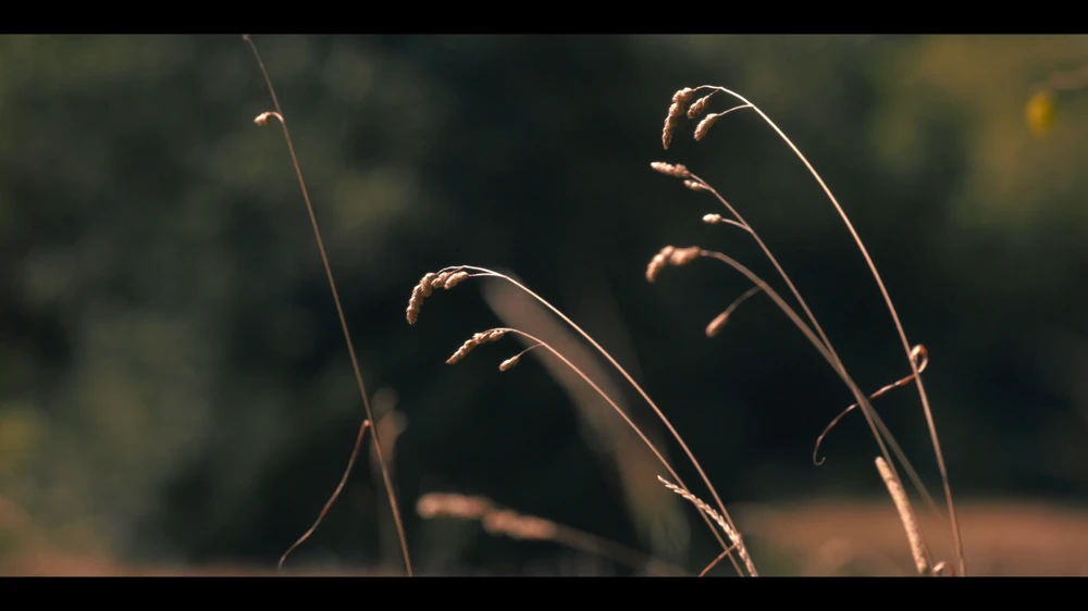 Still frame 25 from Untamed Season 1 Episode 4