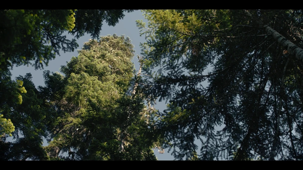 Still frame 65 from Untamed Season 1 Episode 5