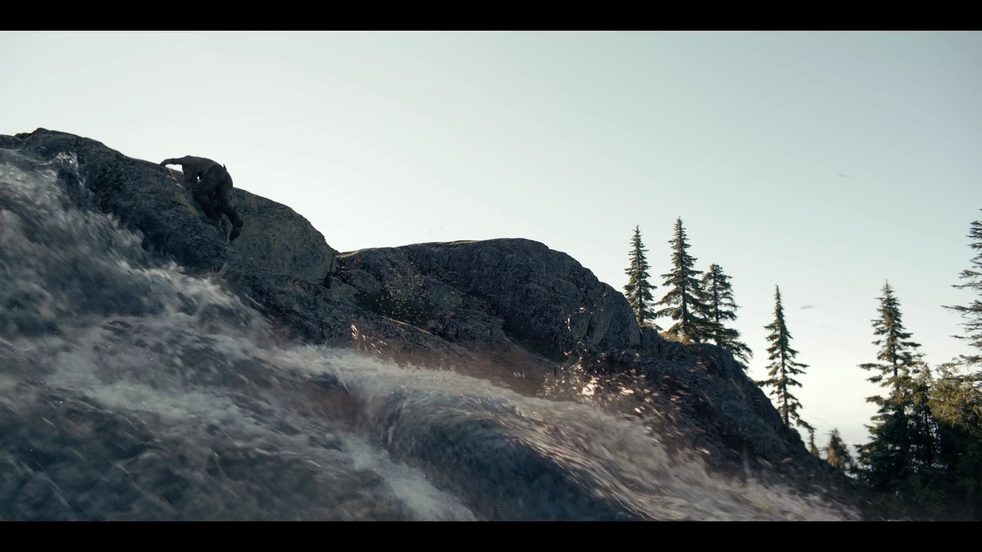 Untamed Season 1 Episode 6 screenshot preview