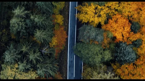 Still frame 3 from Wednesday Season 1 Episode 1