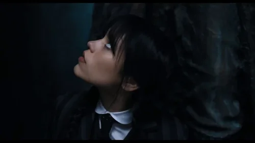 Still frame 38 from Wednesday Season 1 Episode 2