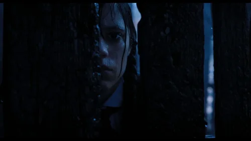 Still frame 26 from Wednesday Season 1 Episode 3