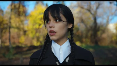 Still frame 23 from Wednesday Season 1 Episode 5