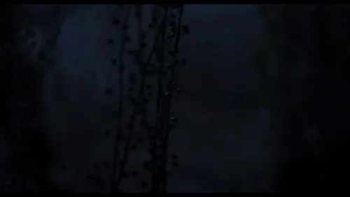 Still frame 28 from Wednesday Season 1 Episode 6