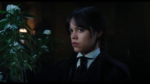 Still frame 12 from Wednesday Season 1 Episode 8